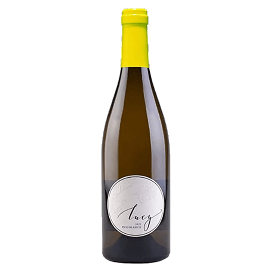 Lucy 2025 Pico Blanco