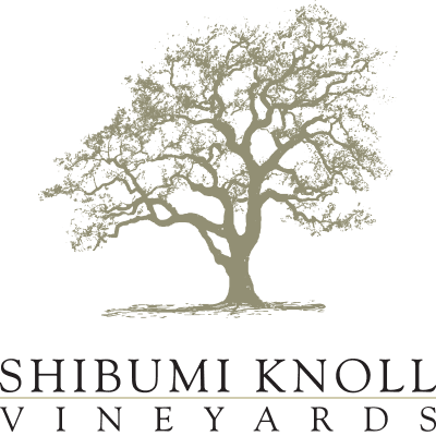 Shibumi Knoll 2023 Chardonnay Buena Tierra Vineyard, Russian River Valley